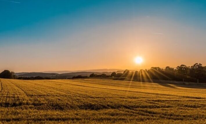 暗号資産、まだ始まったばかり／価格こそがビットコイン成功の真の指標  【日曜日に読みたい厳選8本】