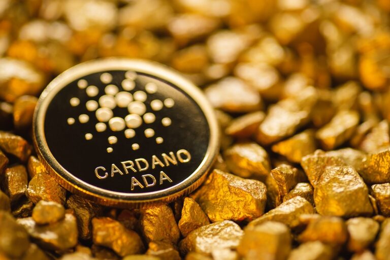 カルダノ財団、今年はサミット開催せず──コミュニティ投票で否決