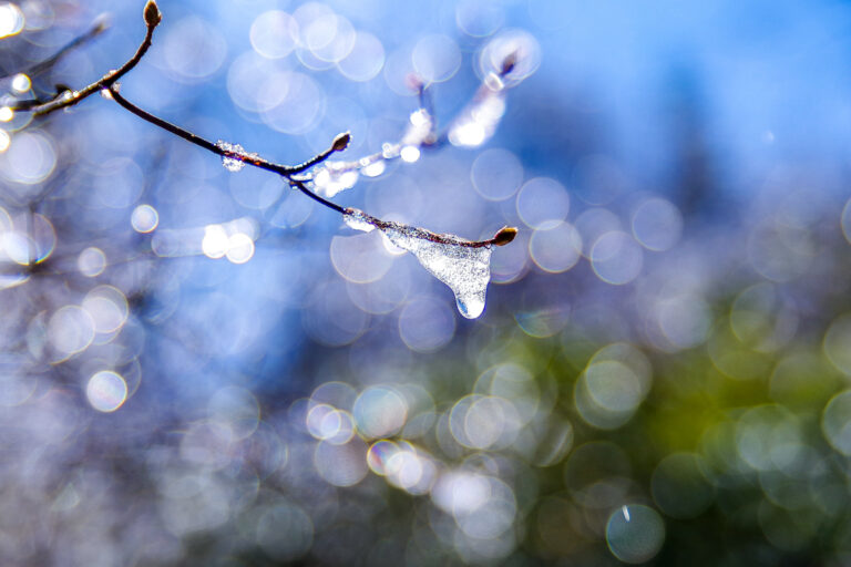 「暗号資産の冬」は終わった／証券と分類されたらどうなる？【週末に読みたい厳選10本】