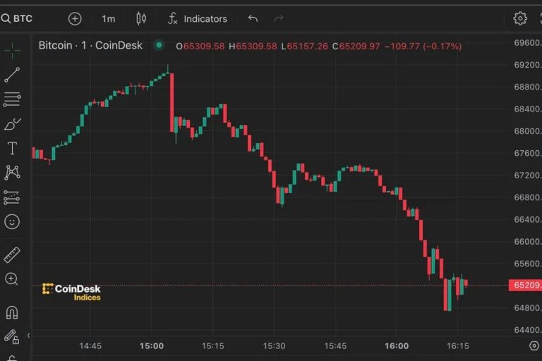 ビットコイン、6万9200ドルの史上最高値まで上昇も一時5万9700ドルまで下落
