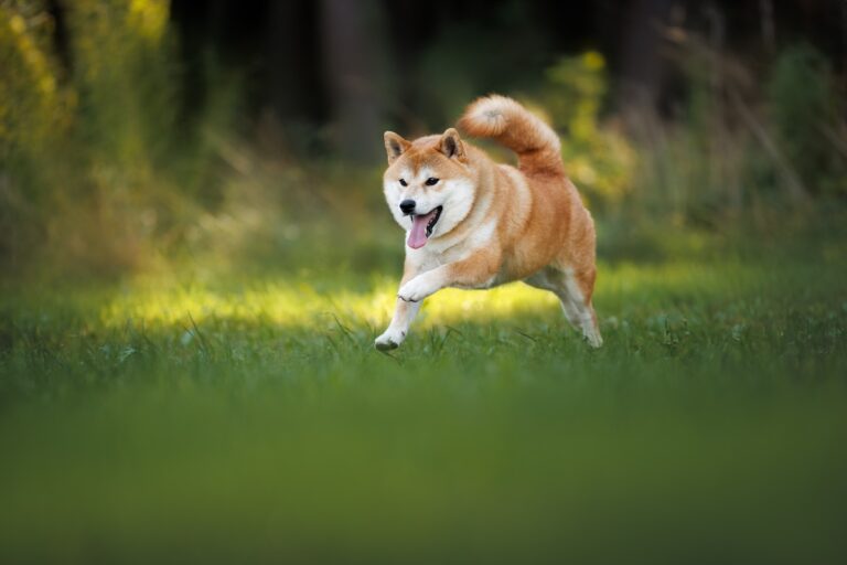 2024年 CoinDesk JAPAN人気記事ランキング（1-3月）