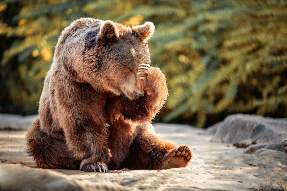 これまでの弱気相場とは様相が違う：Chainlink共同創業者が指摘