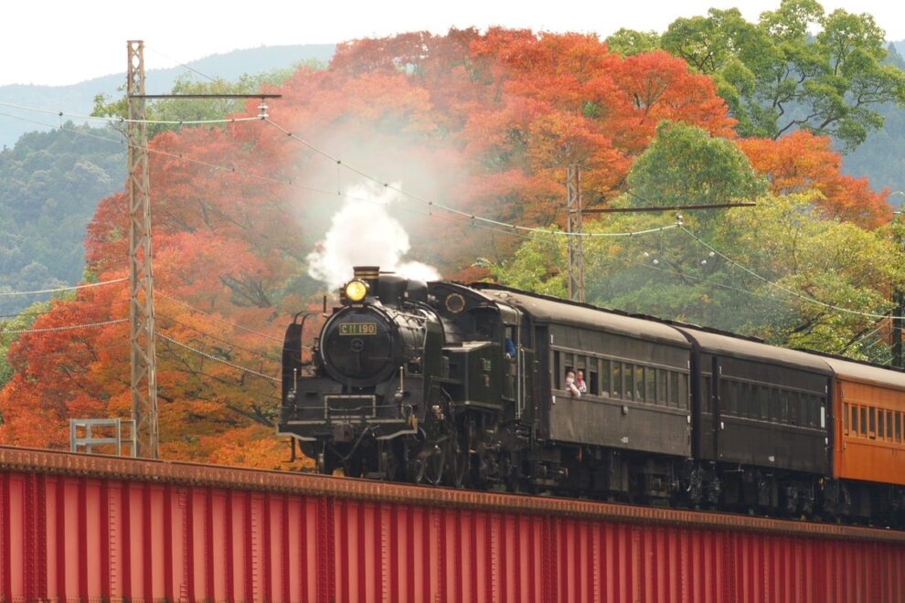 大井川鐵道、NFTを活用したデジタル会員サービス「大鐵members」開始