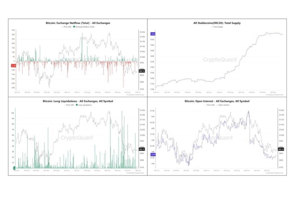 2025年、オンチェーンデータから何を語ってきたのか──オンチェーンデータから読み解く市場の構造変化【エックスウィンリサーチ】