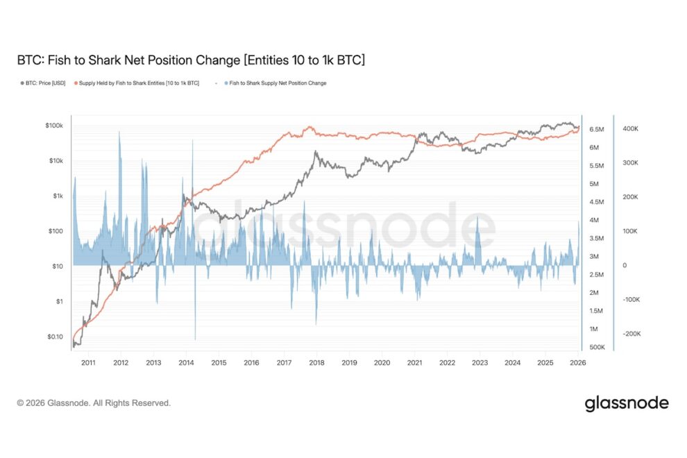 ビットコイン、中〜大規模保有者が買い増し──2022年のFTX破綻以降で最大規模に