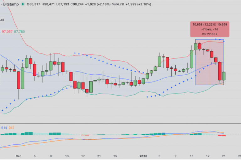 【ビットコイン価格分析】ビットコイントレジャリー企業、押し目買い──トランプ政策で市場価値は12億ドル減少