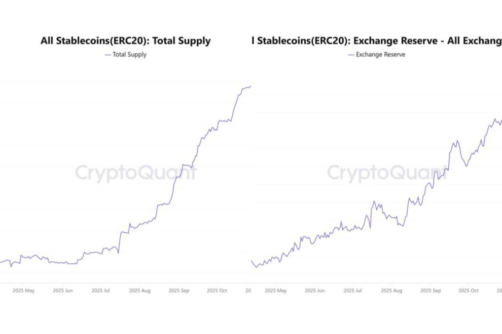 ステーブルコインが減る局面は「押し目待ち」か「市場離脱」か──総供給と取引所残高が示す30日検証ポイント【エックスウィンリサーチ】
