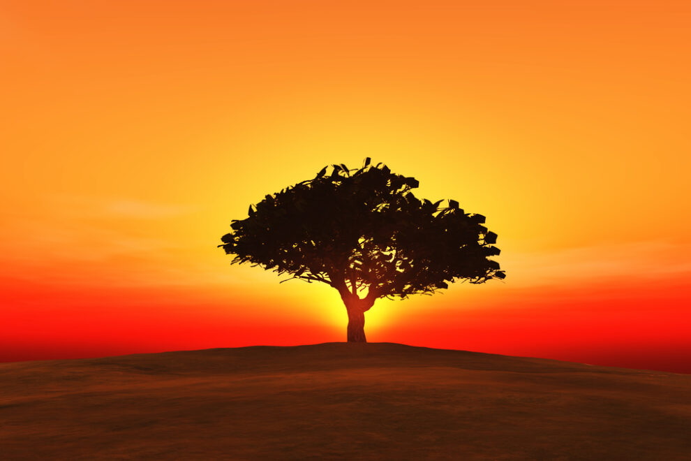 WisdomTreeのトークン化ファンド、Solana上でも利用可能に