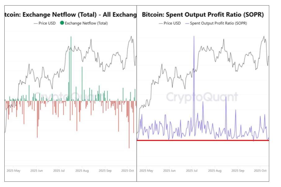 CLARITY法案が映し出すビットコインの構造転換 ──オンチェーンが示す「制度資産」への移行【エックスウィンリサーチ】