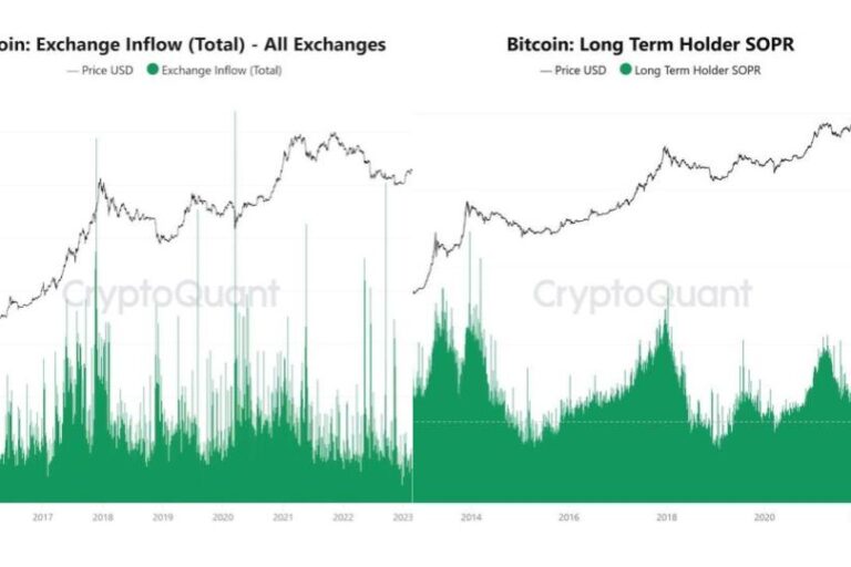 オンチェーン分析とは何か──既存金融と異なる市場分析の考え方【エックスウィンリサーチ】