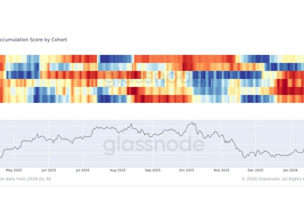 ビットコインが急落──個人投資家は撤退、「クジラ」は押し目買い