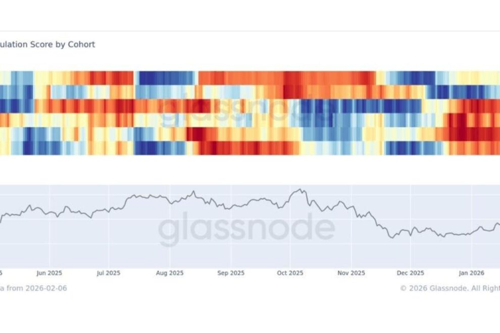 ビットコイン、広範な買い集めが始まる──急落後の調整局面で押し目買い