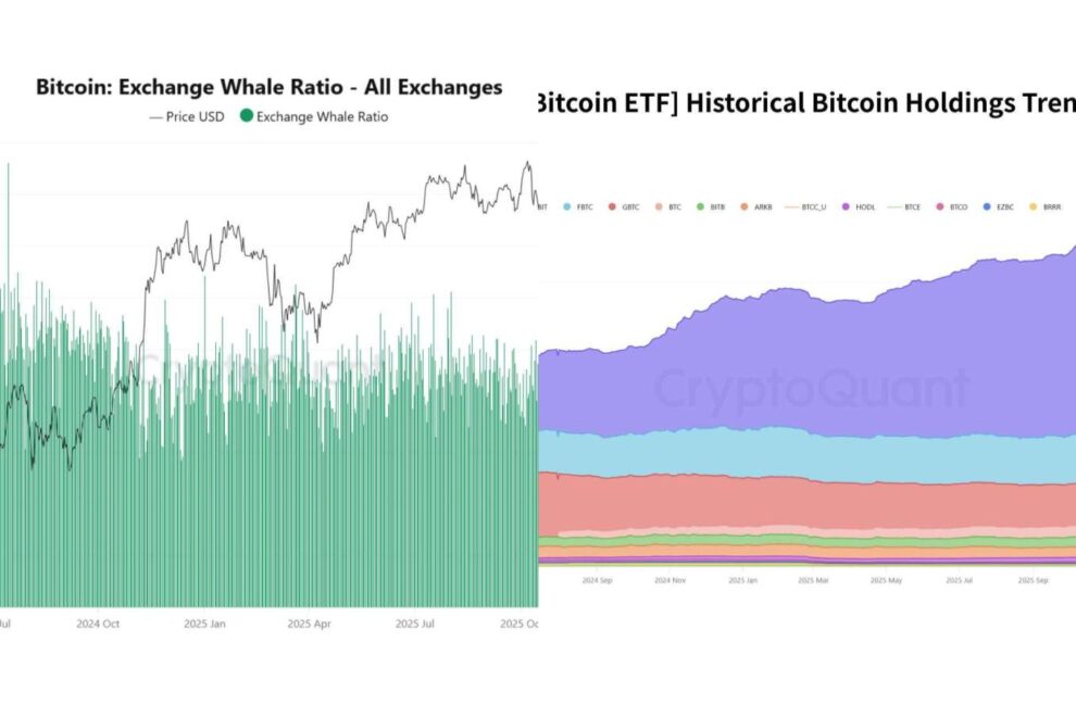 クジラは売り、企業は買う──ビットコイン需給の二重構造【エックスウィンリサーチ】
