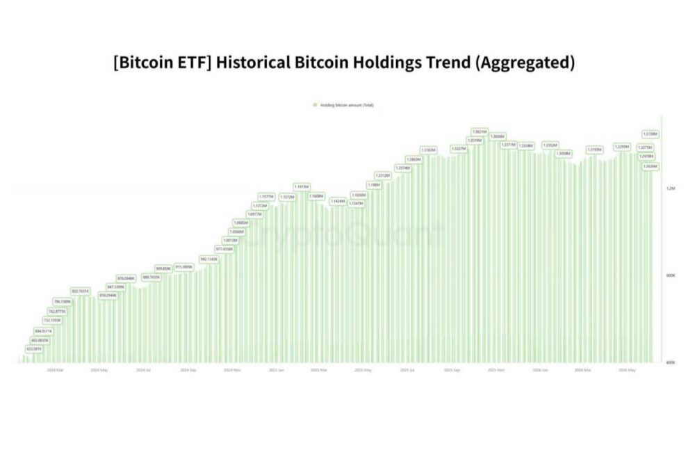 ビットコインETF市場を動かす3つのプレイヤー｜ヘッジファンド・RIA・機関投資家とは何者なのか【エックスウィン】