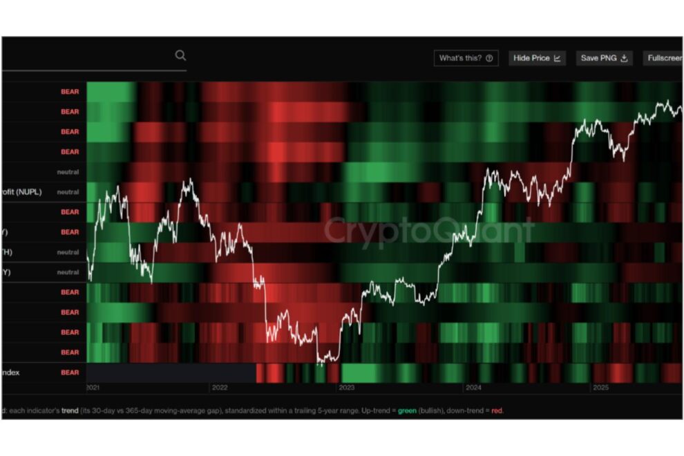 ビットコイン市場は本当に底打ちしたのか──CryptoQuantの新分析ツールが示す市場の現在地【エックスウィン】