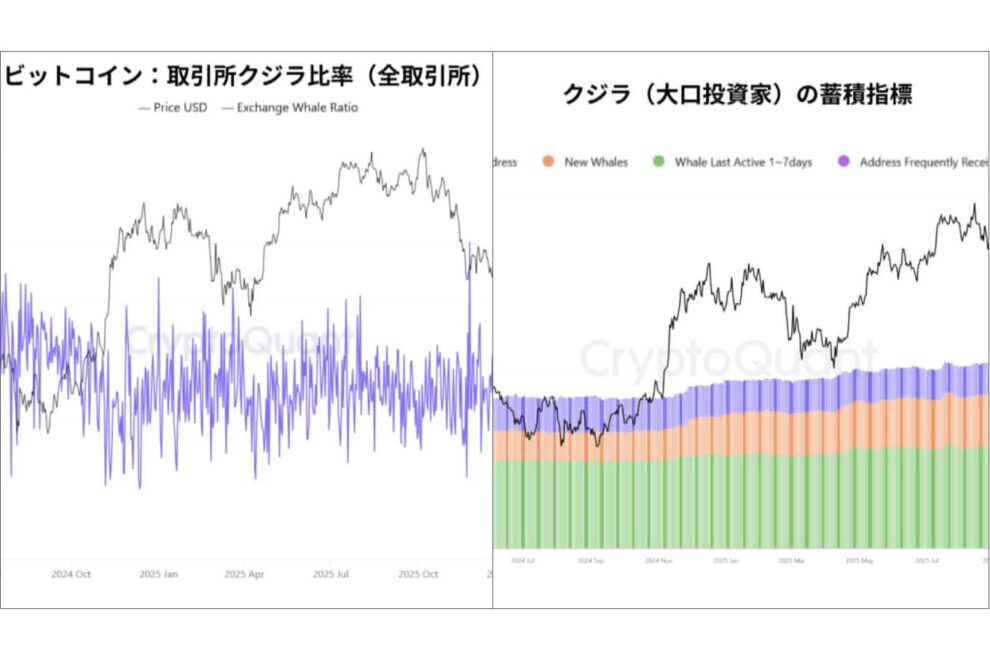 クジラは本当に買い集めているのか──蓄積と売り圧が同時に進むビットコイン市場【エックスウィン】