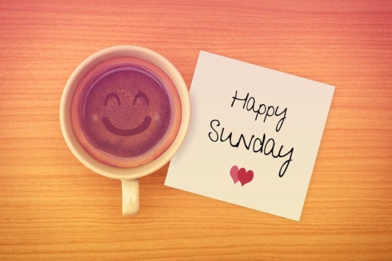 【速報】メタプラネット、ビットコイン評価損1842億円を計上──中間決算／「出金できない」──年利最大400％をうたうBitradeXめぐり不安広がる【日曜日に読みたい厳選10本】
